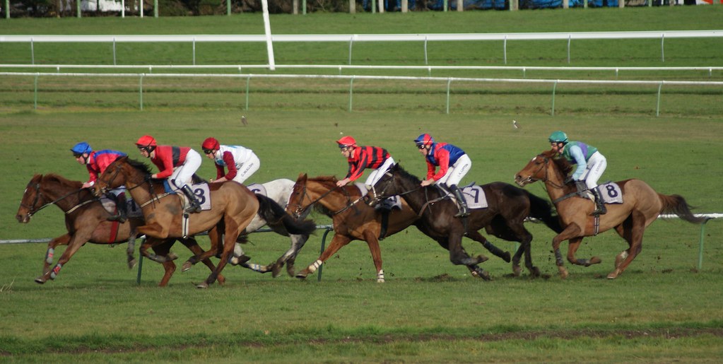 Jouez et vivez la course hippique du jour en direct